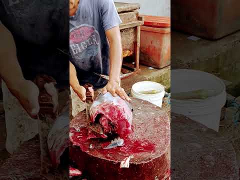 Fillet Tuna Sharp Skills #viralvidioshort #fillet #fishcutting #fishing #seafood