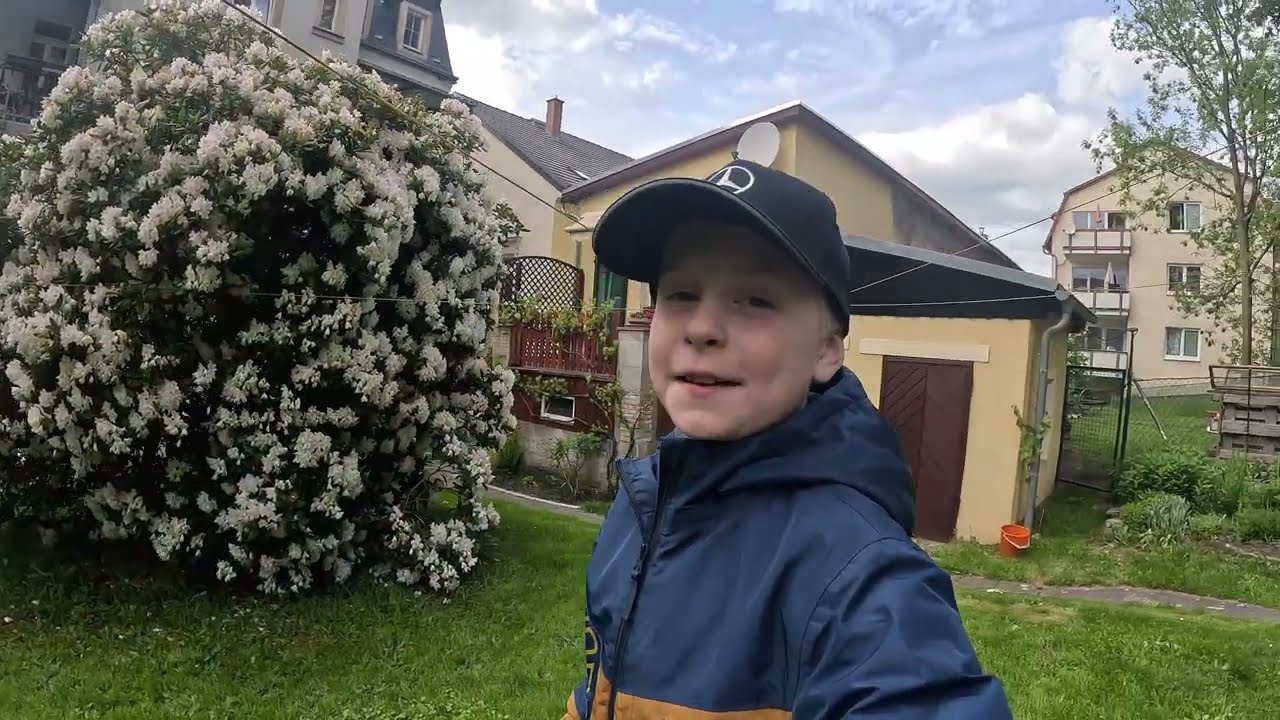 Ich stelle den MTD black line vor.