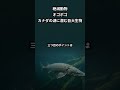 謎の湖の巨大生物オゴポゴ 5~15メートルの怪物は実在するのか