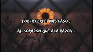 Los Broncos - cual es el precio