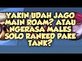 isi otak seorang roamer!