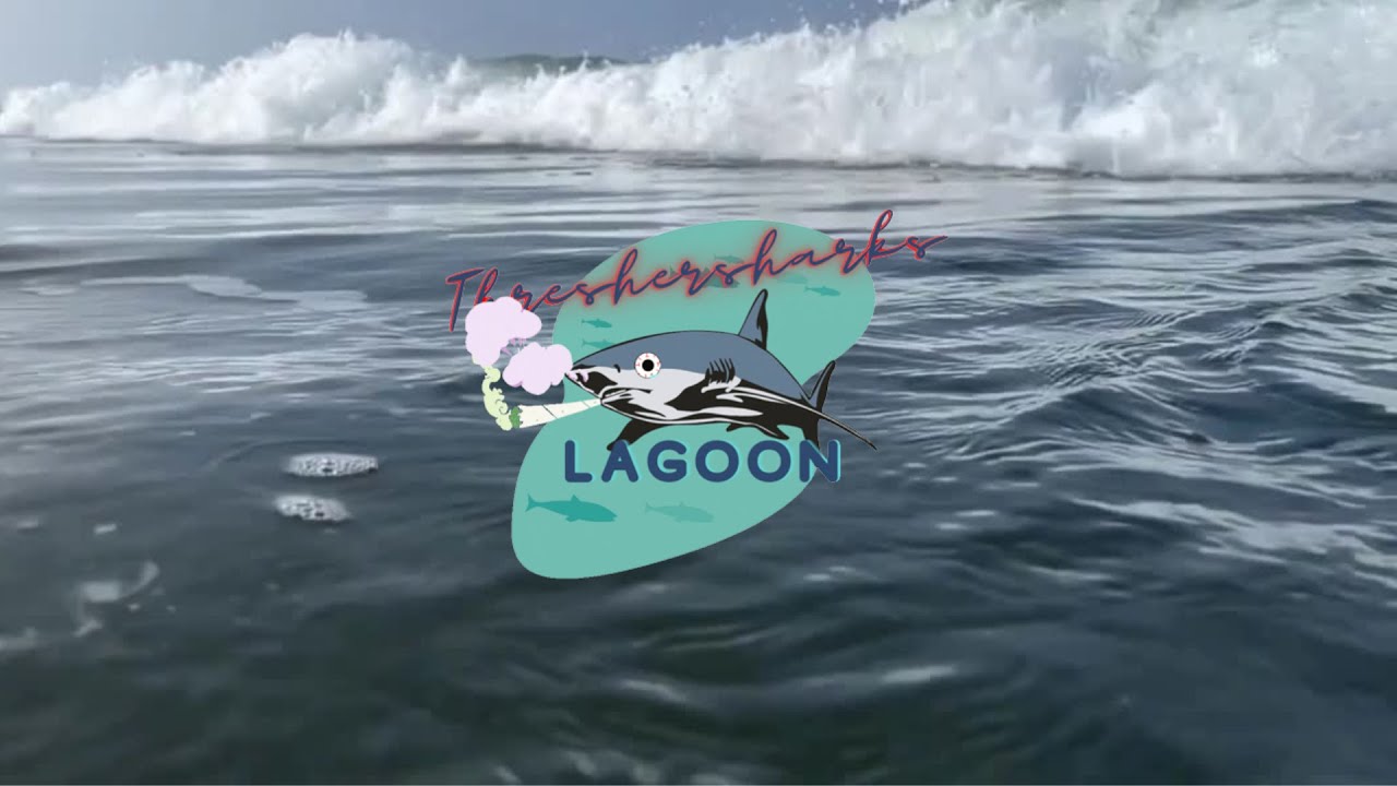 Welcome to Threshersharks Dab Lagoon