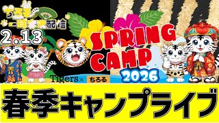 阪神 春季キャンプ LIVE 】 2/13 阪神タイガース 沖縄春季キャンプ
