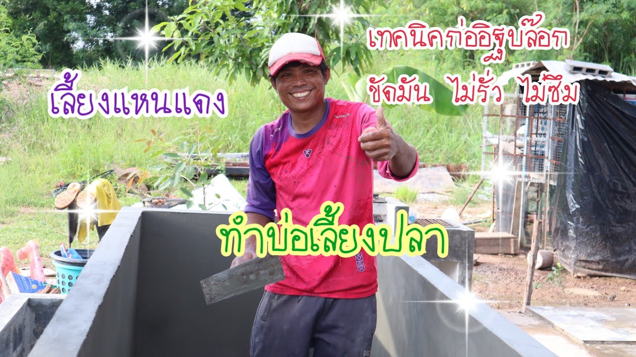 เทคนิคทำบ่อเลี้ยงปลา | ทำบ่อเลี้ยงปลา | แหนแดง | บ่อซีเมนต์ | Build and Design Fish Pond from Bricks