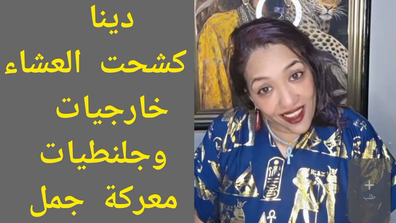 الناشطة دينا كشحت العشاء خارجيات وجلنطيات في معركة اسمها جمل 