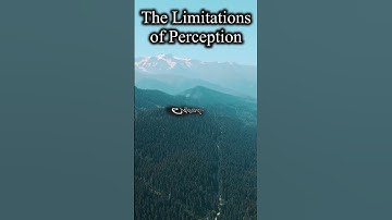 The Limitations of Perception