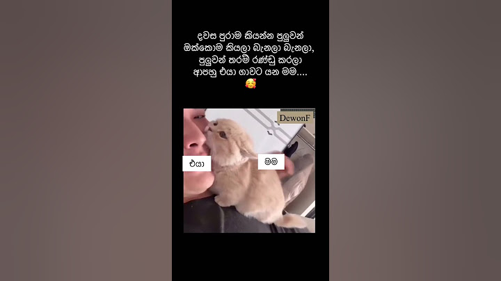 අපි නම් මෙහෙම නෑ ඕං 😤 #shorts #shortsfeed #sinhalacomedy  #sinhalamemes   #memevideo #funny #love