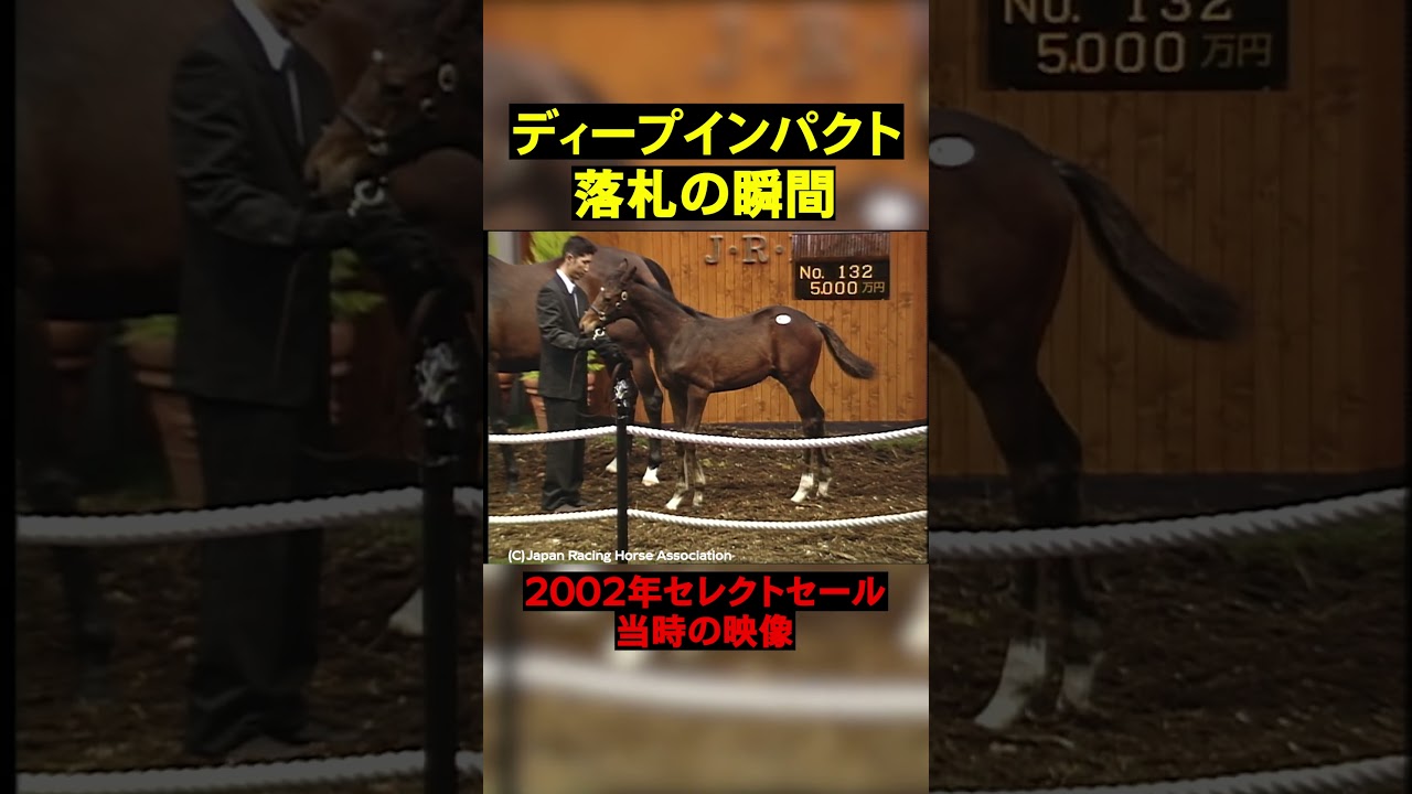The Miracle of the Select Sale] The Moment Deep Impact Was