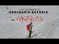 UN GIORNO DI ORDINARIA EUFORIA