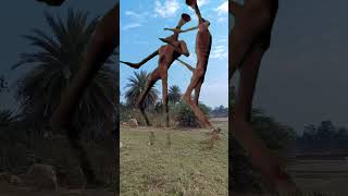 siren head vs siren head fight my village OMG #sirenhead #horror #youtubeshorts #shorts