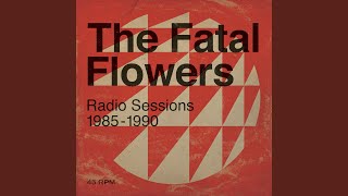 Vignette de la vidéo "The Fatal Flowers - Someday"