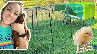 Unboxing and Assembling my Omlet Eglu Cube Chicken Coop | Getting Ready for My Chickens!!