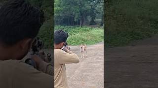 Air Gun Hunting