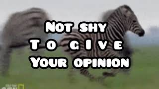 The Zebra Spirit Animal Alll About The Spiritual Essence Of The Zebrapower Animalenergy