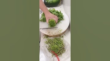 Amazing Green Vegetables Cutting Skills