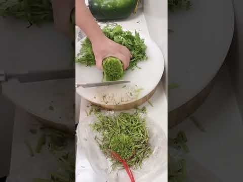Amazing Green Vegetables