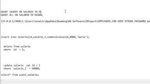 auditoria firebird (IDE Ibexpert) ITIZ
