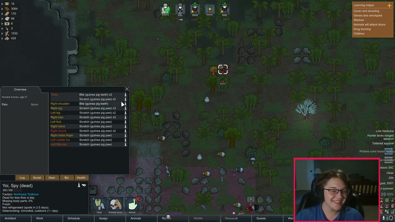 Mauled by Guinea Pigs??? [Rimworld]