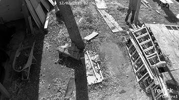 Reolink Captures: Attempted Burglary