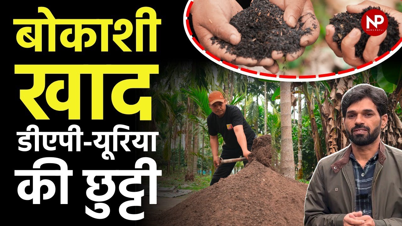 Japanese Bokashi Making Process, 👨🏼‍🌾This Organic Manure Is More Powerful than other fertilizer🦠