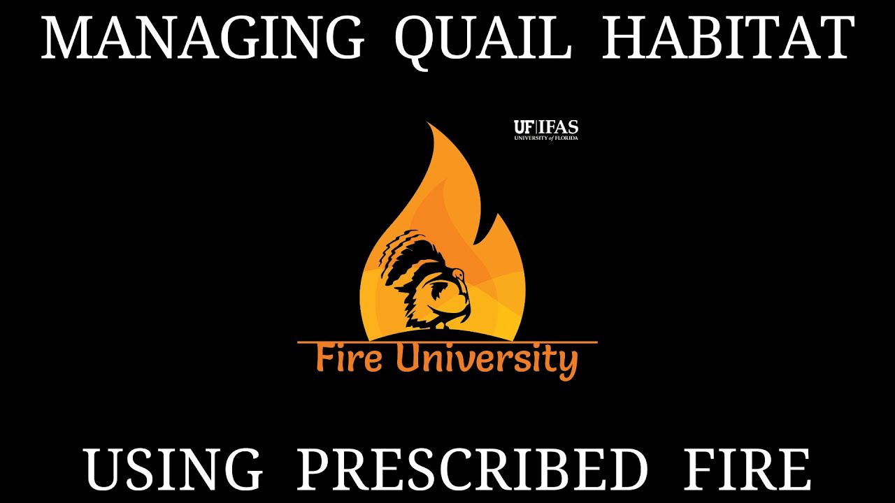 Fire University: Managing Quail Habitat using Prescribed Fire | Ep 33