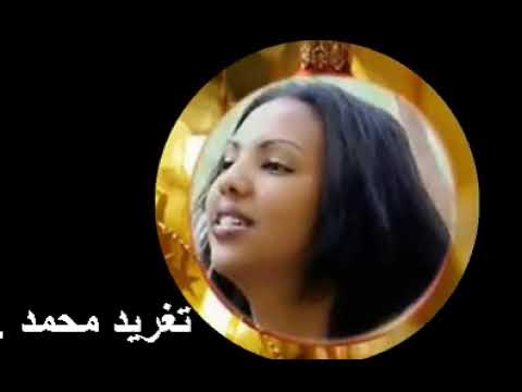 سارة النور اشتقت ليك ساعة المساء فرد الجناح لملم مصابيح النهار