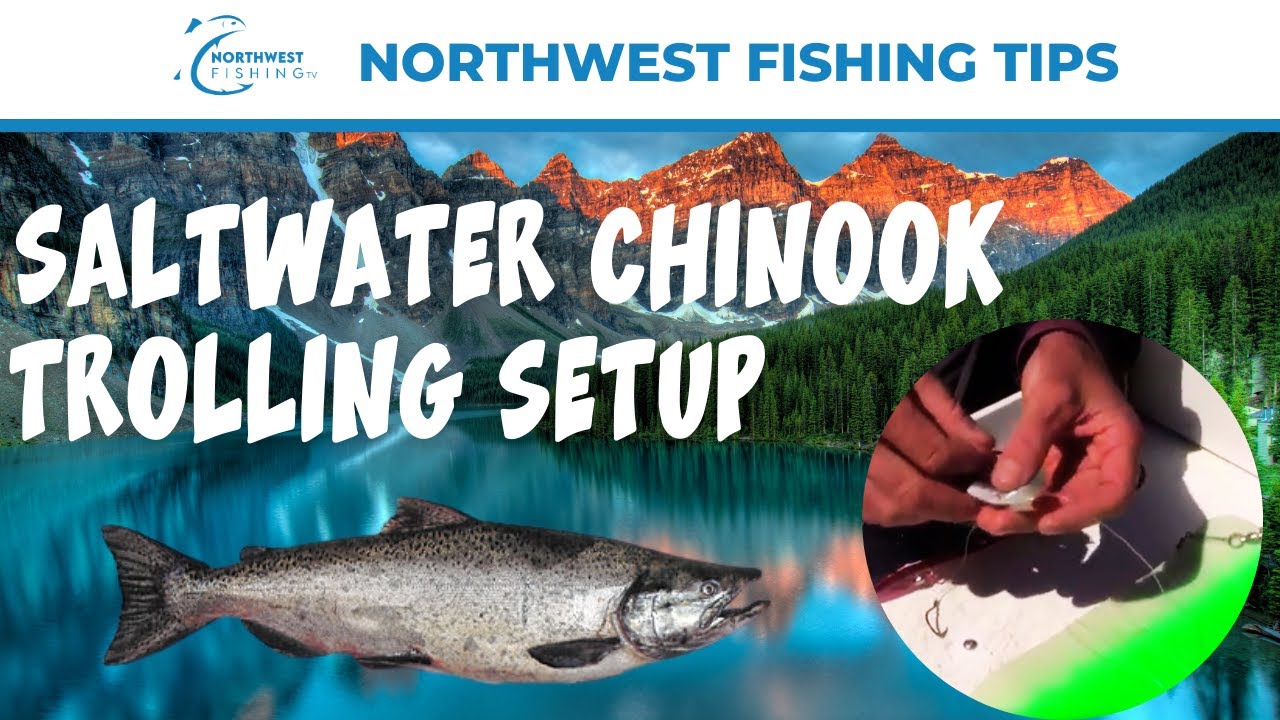 Summer Chinook River Fishing Tips – Sea-Run Fly & Tackle