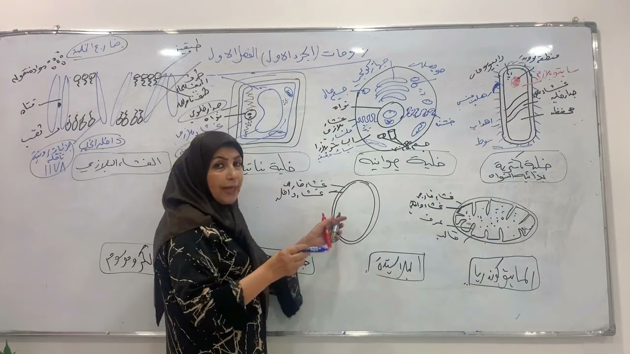 رسومات الفصل الاول الخلية