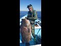 SPEARFISHING Baja California  2020