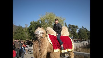 C++,  user defined function, calculate average -      ch9hw 3