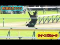【新潟記念2025】放馬して柵越えジャンプ後に転倒しちゃうクイーンズウォーク