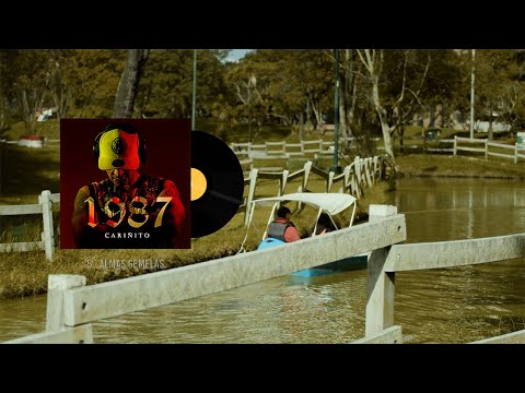 Almas Gemelas - Cariñito (Visualizer)