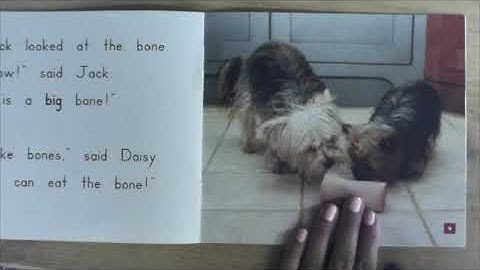 The Big Bone (Guided Reading: Level D)