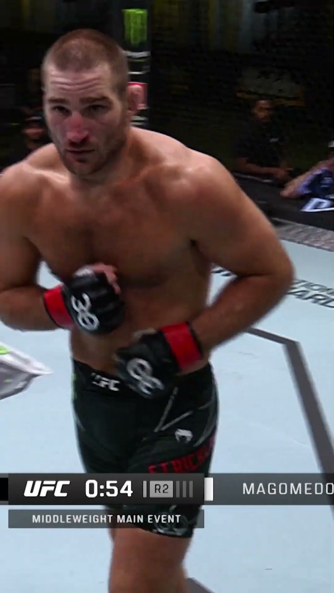 Sean Strickland just beating him up like a punching bag ? #shorts