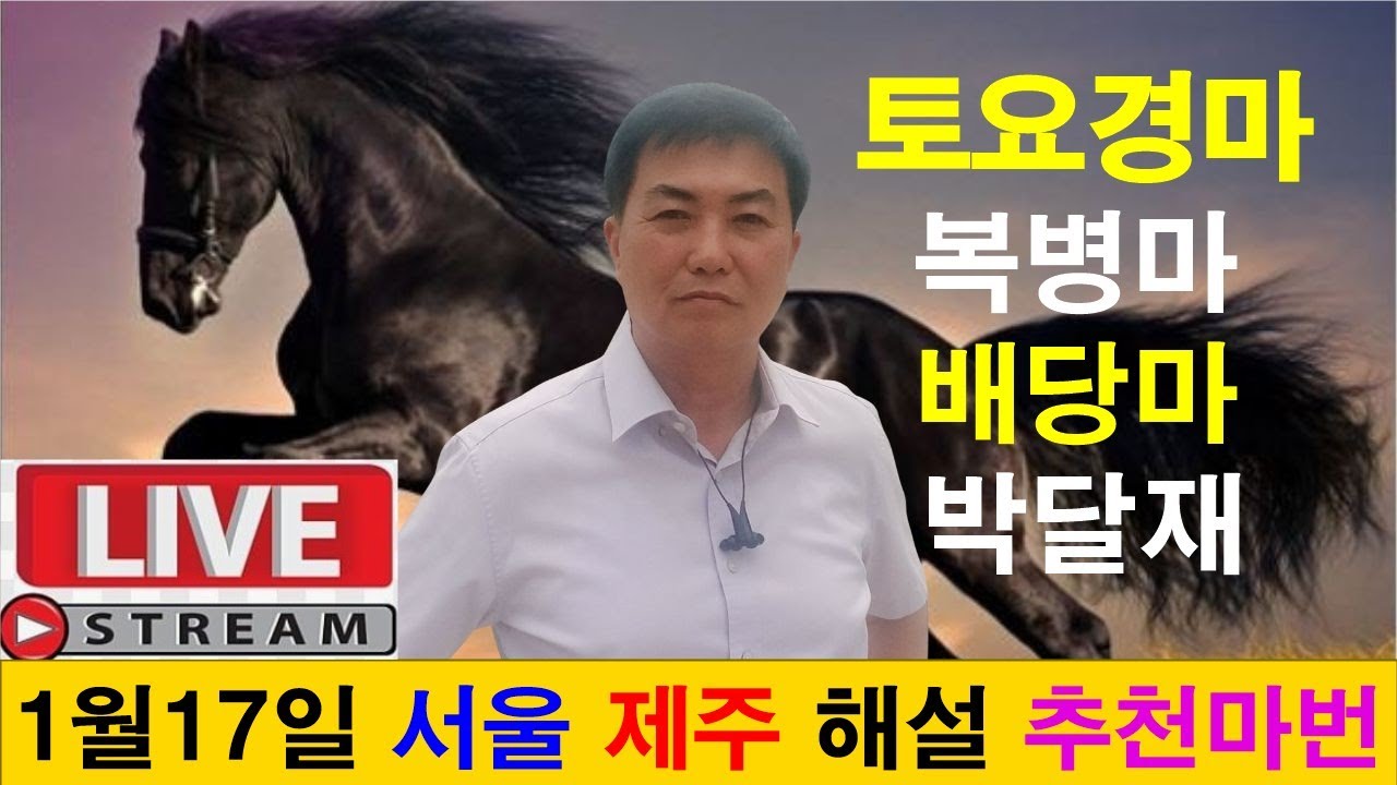 1월17일 토요경마 경마예상 추천마번 복병마 배당마 온종일 라이브 방송 서울경마 부경경마 경주분석 추천마번 예상방송 박달재