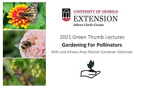 Gardening For Pollinators