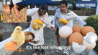 STIRR TRIES EP 5: WALKING ON EGGS