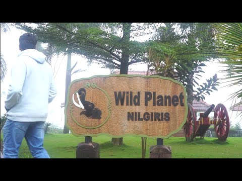 Wildplanet Resort - Devala /@wildplanetluxuryresort