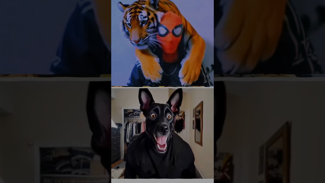 Crazy Animal Reaction 😳🤯 