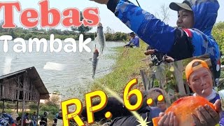 Mancing Borongan Paling DASYAT Tahun Ini. 🫵💯 #nila #tambaktradisional #hobby #ikannila 