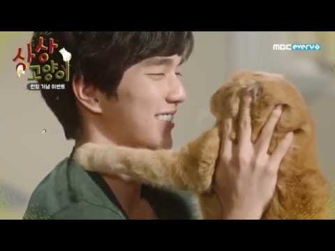 Imaginary Cat 상상고양이 - Teaser