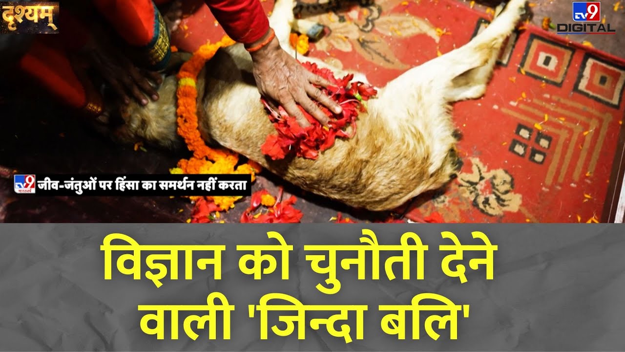 DRISHYAM: विज्ञान को चुनौती देने वाली 'जिन्दा बलि' | Mundeshwari Temple | Bihar | Kaimur