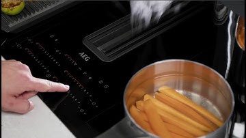 How to use your 8000 Bridge with eXTractor