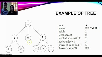 Binary Trees in Data Structures and Algorithms Part 1 DEFINITION AND TERMINOLOGIES