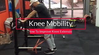 Improve Knee Extension With This Simple Mobility Drill by Noregretspt 258 views 10 months ago 2 minutes, 48 seconds