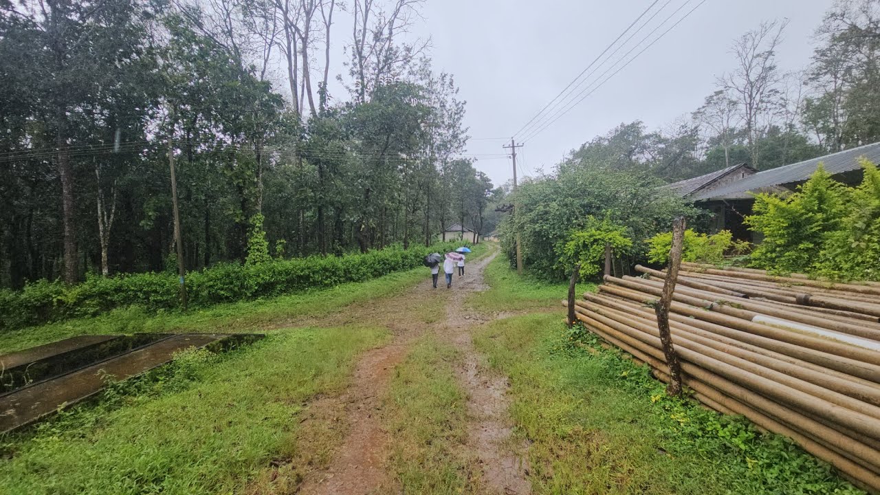 (#392) 👌🏻 227 acre top property. Meadium condition coffee estate. 80% flat land15 cr worth timber 👌🏻