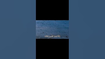 واللَّهُ يحب الصابرين - سورة آل عمران #القرآن #تلاوة #آيات_من_القرآن #خشوع #تدبر #راحة_القلب