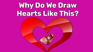 Why Does The Heart Symbol Look Nothing Like A Real Heart?