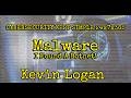 Malware: I found a botnet!