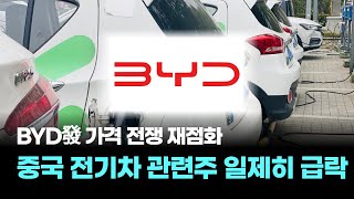 “BYD發 가격 전쟁 재점화…中 전기차株 일제 급락”